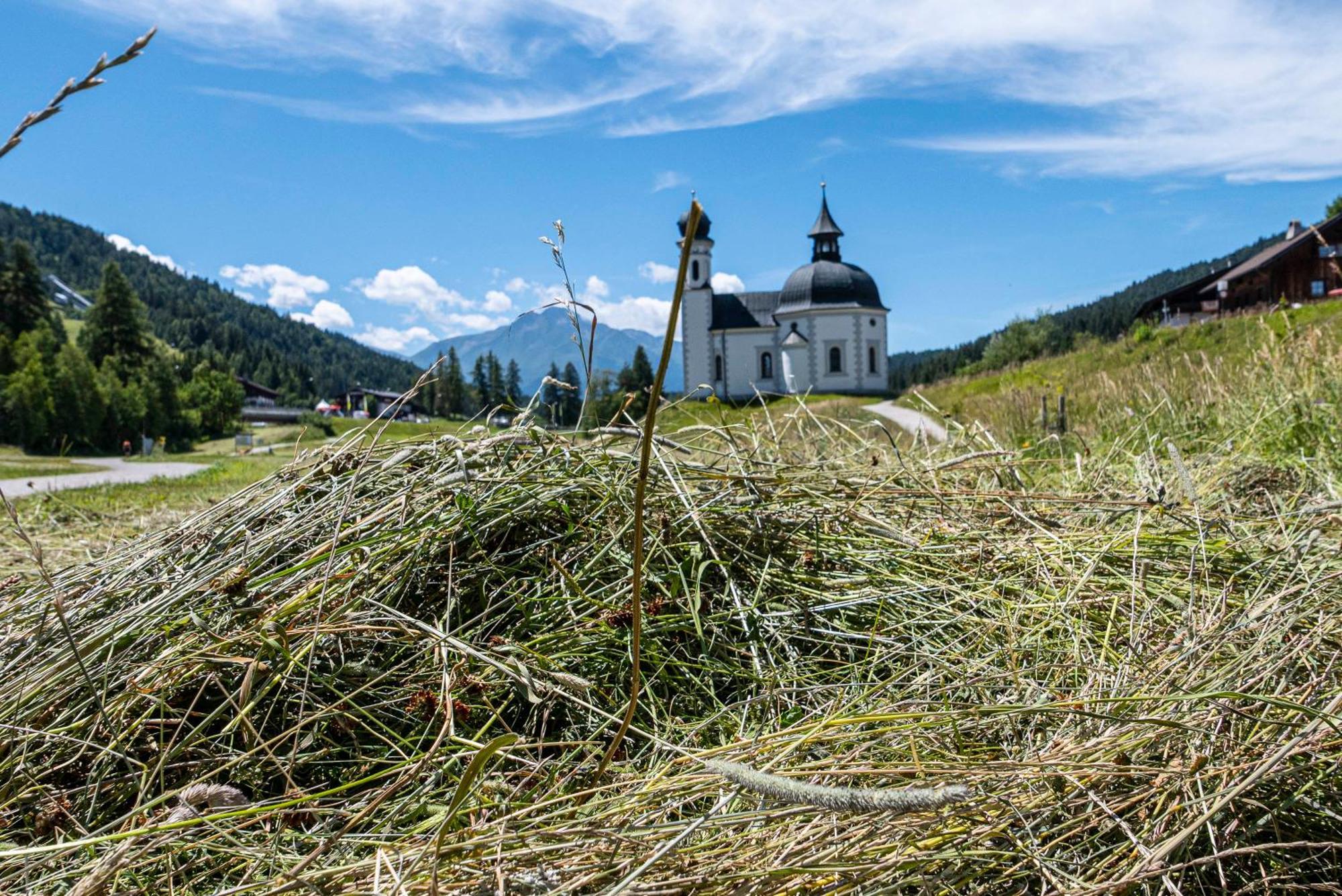 Haid Apartment Seefeld in Tirol