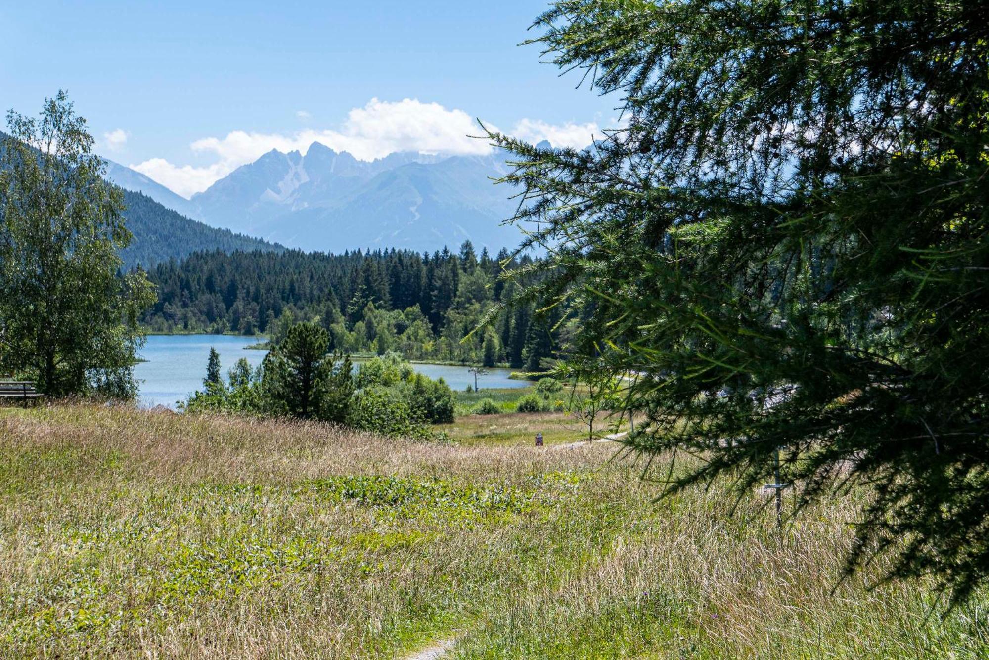 Haid Seefeld in Tirol
